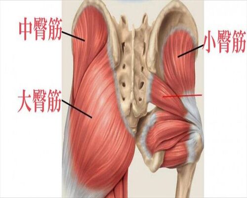 280f2207a07bf8ab02d3dac354e5ee81_R