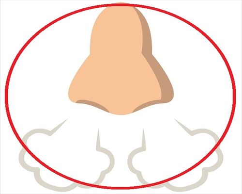 o0600060014768940431_R